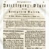 „Allgemeines Intelligenz-Blatt für das Königreich Baiern“ (1818)